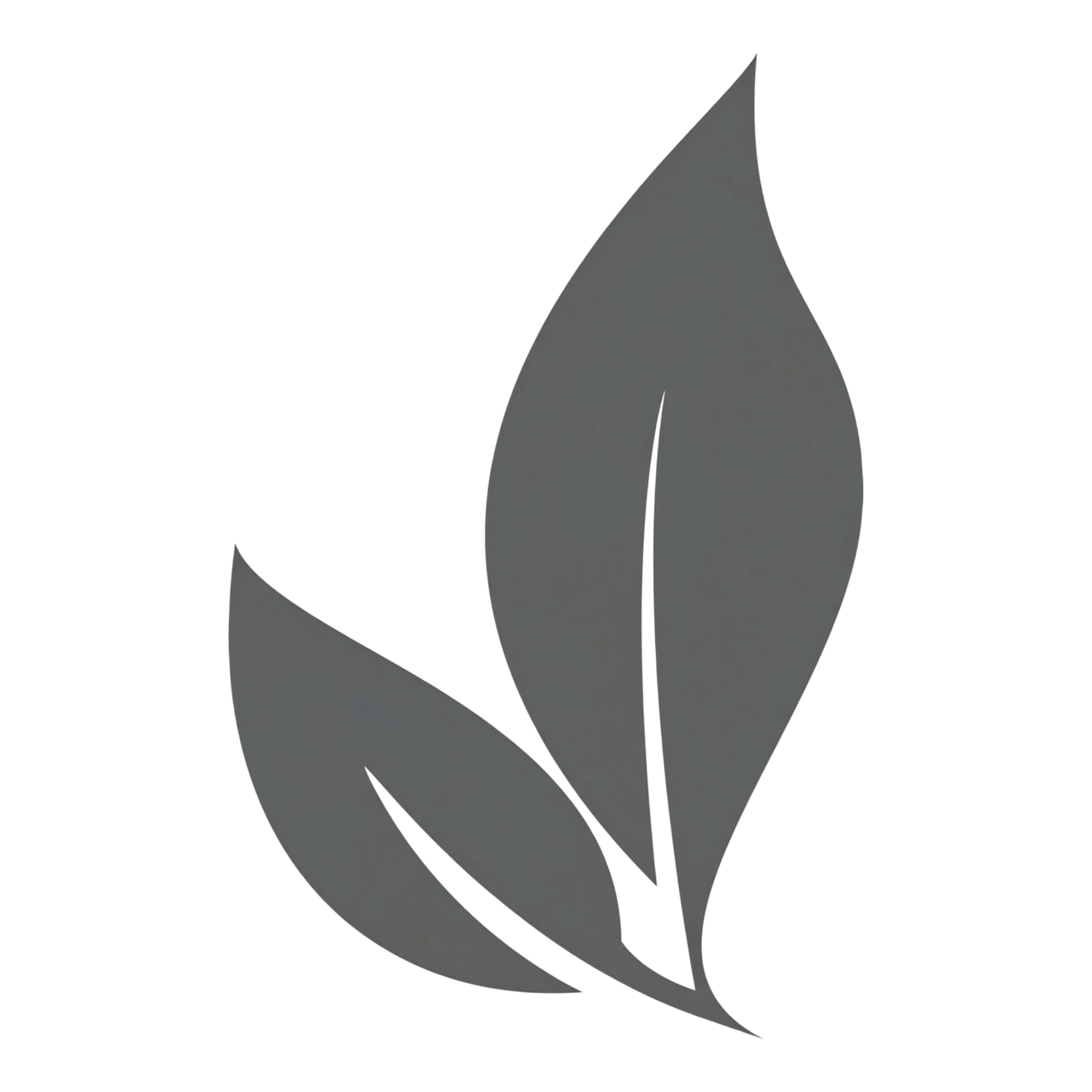 Policy icon